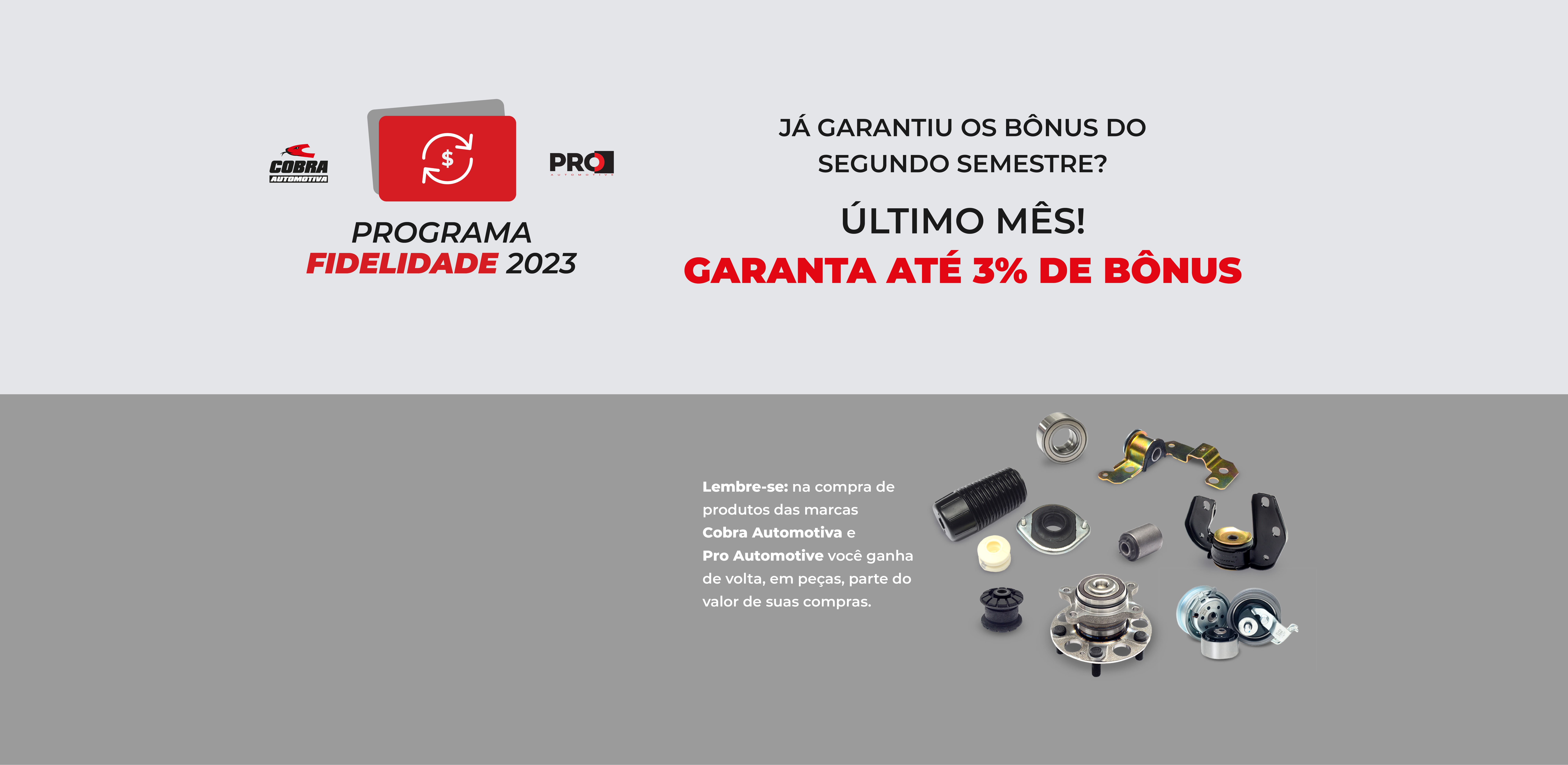 Brasfil Auto Peças - Produto